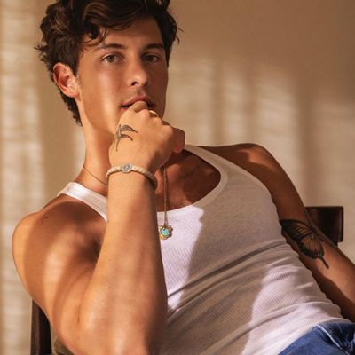 19 Unforgettable Shawn Mendes Hits That Shaped His Musical Odyssey ...